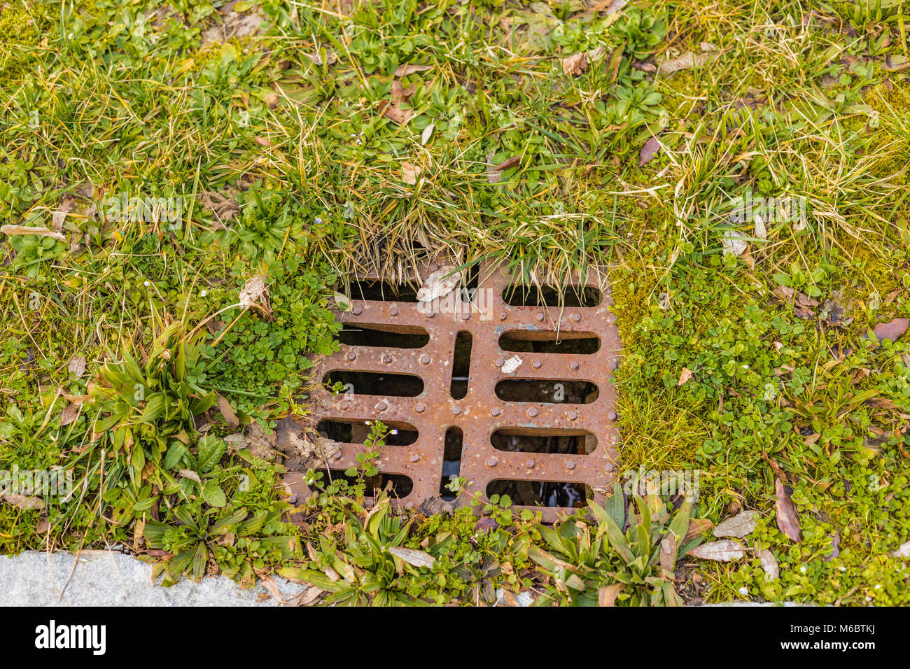 steel grating for drainage water on green grass background Stock Photo
