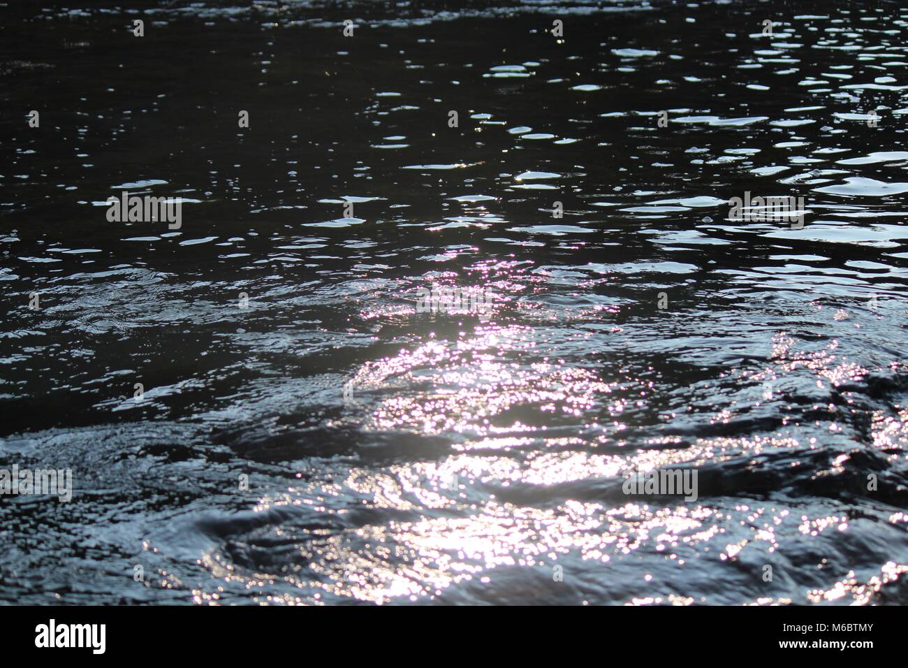 Newfoundland photography Stock Photo