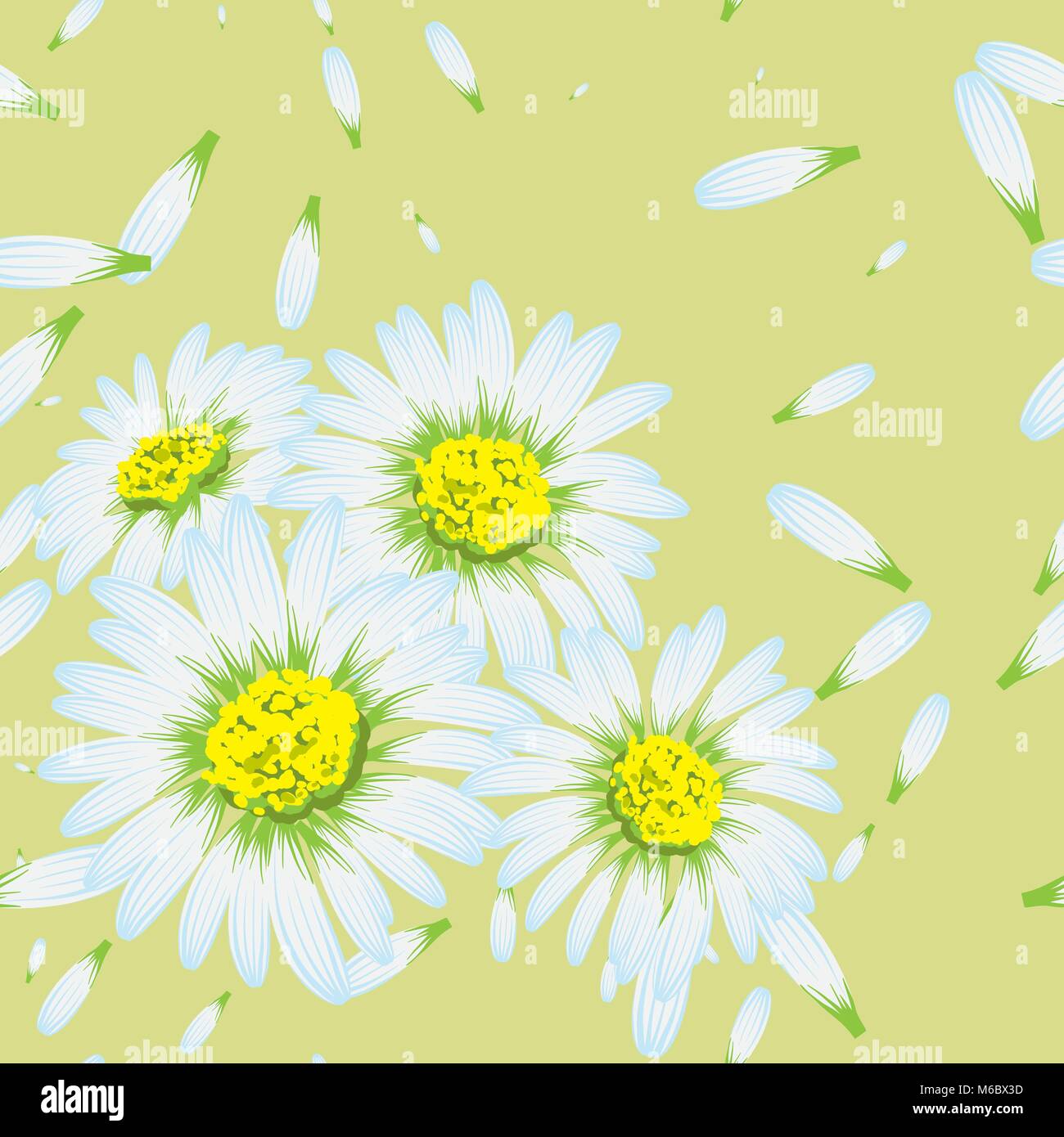 Vector illustration of chamomiles. (Seamless flowers pattern Stock ...