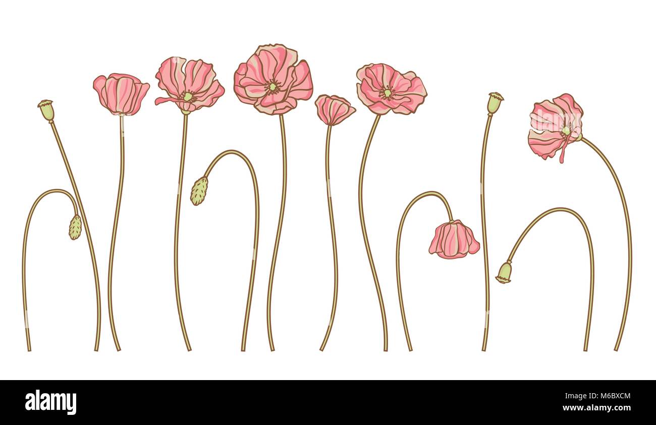 Vector hand draw flowers set isolated on white Stock Vector Image & Art ...