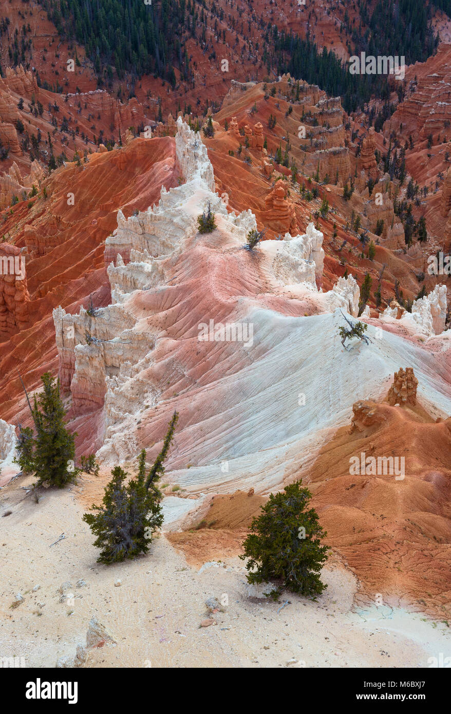 Sandstone Formations, Cedar Breaks National Monument, Utah Stock Photo