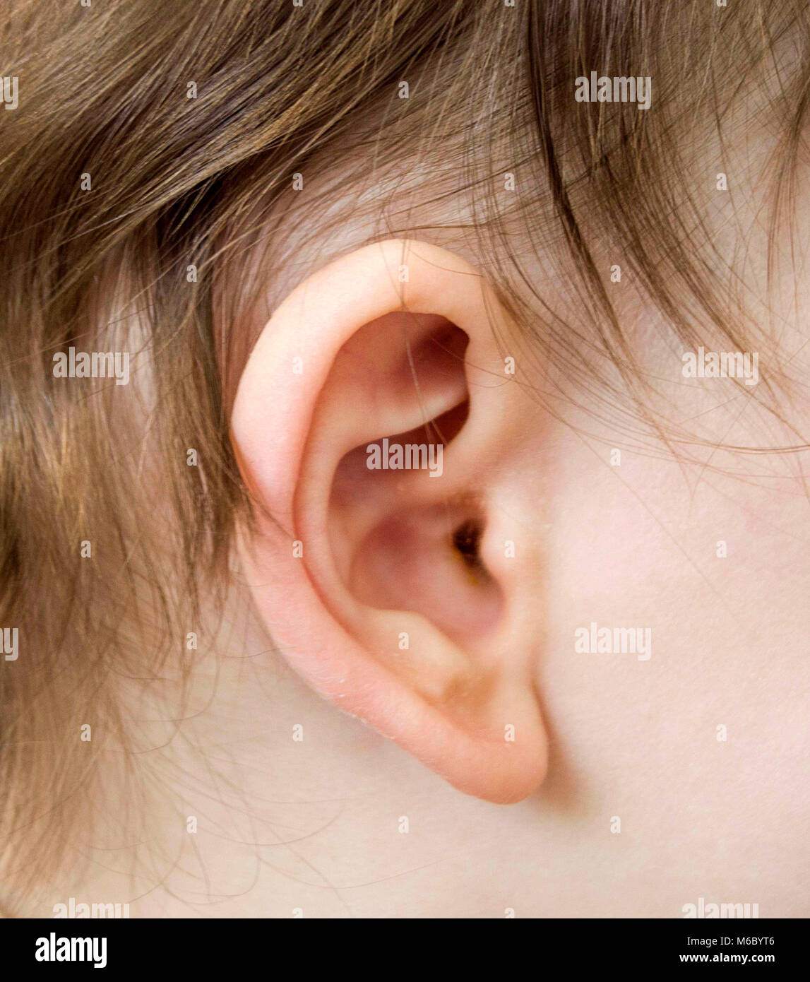 baby ear and ear droppings, ear cleaning is important in infants. ear