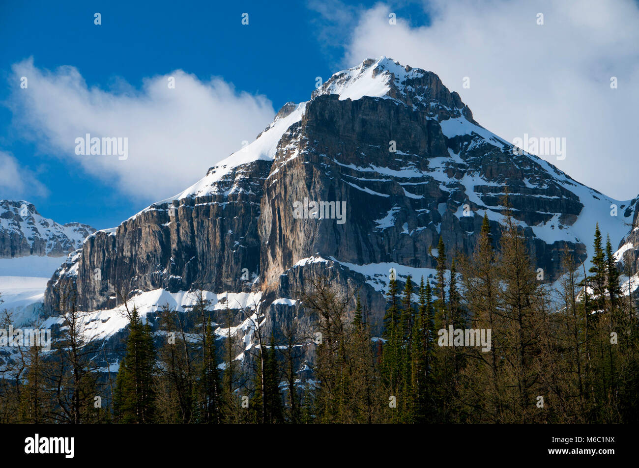 Wenkchemna Peaks from Larch Valley Trail, Banff National Park, Alberta, Canada Stock Photo