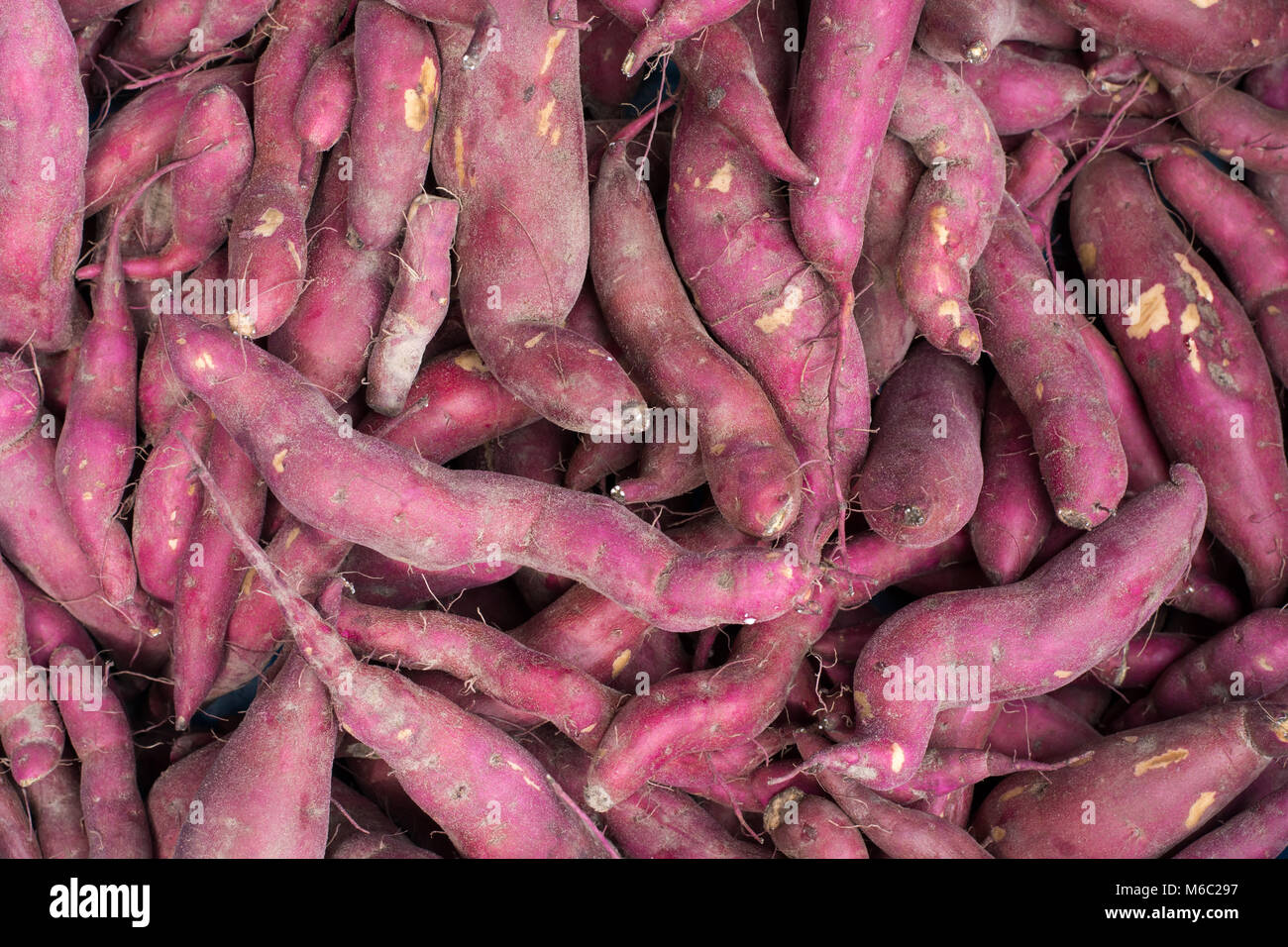 sweet potato background Stock Photo Alamy