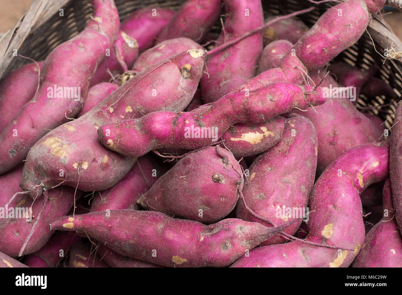 sweet potato background Stock Photo Alamy