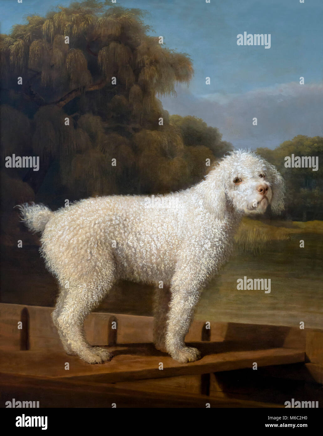 White Poodle in a Punt, George Stubbs, circa 1780, National Gallery of Art, Washington DC, USA, North America Stock Photo
