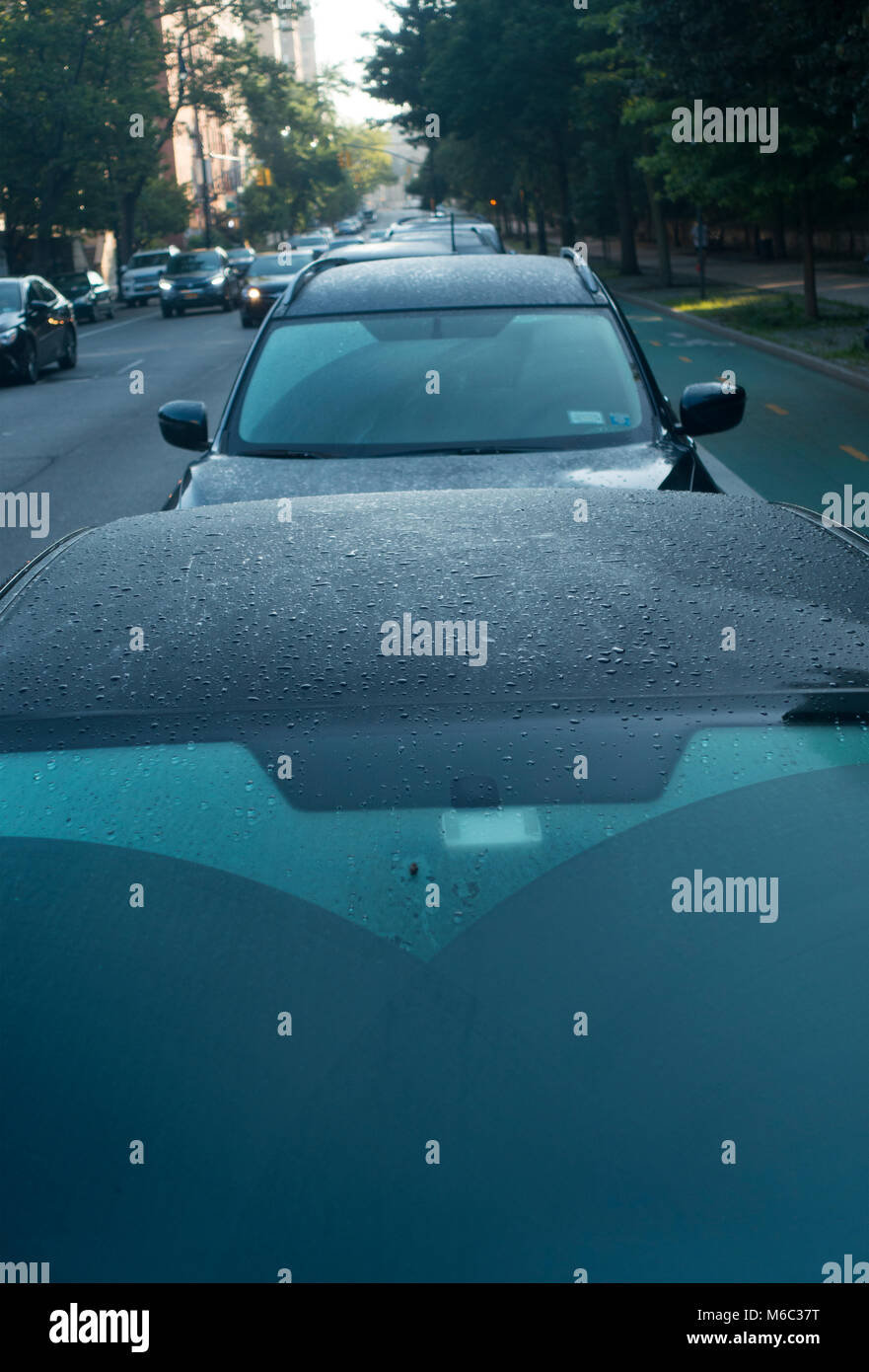 morning dew on car windows Stock Photo Alamy