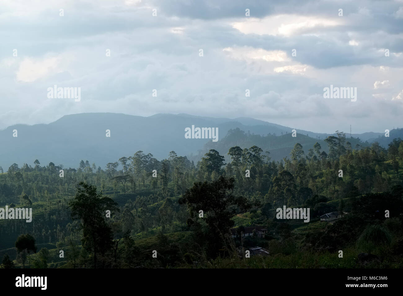 General view of woodland and countryside in the highlands near Ella in Sri Lanka Stock Photo