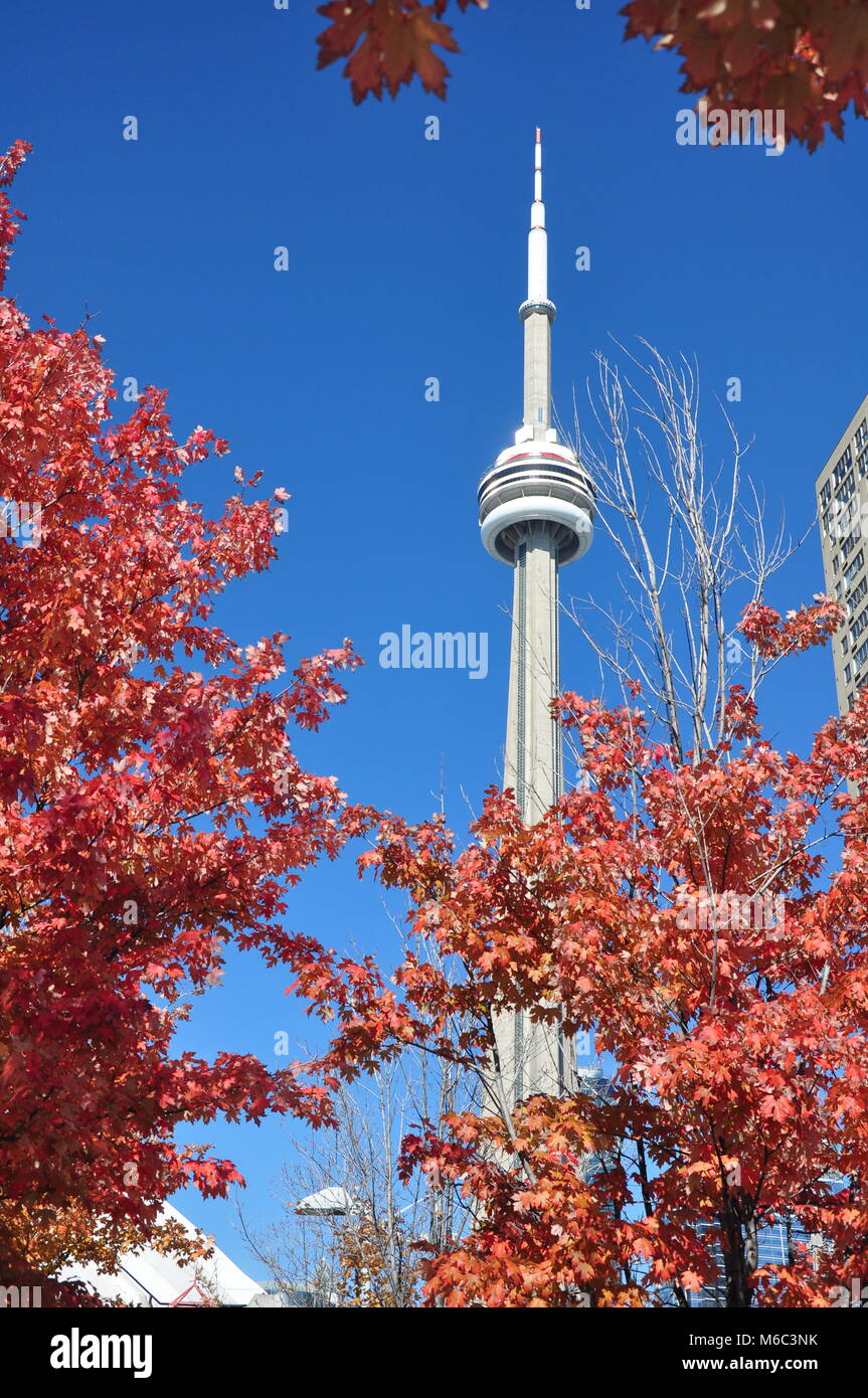 CN Tower during autumn, Toronto, Canada Stock Photo