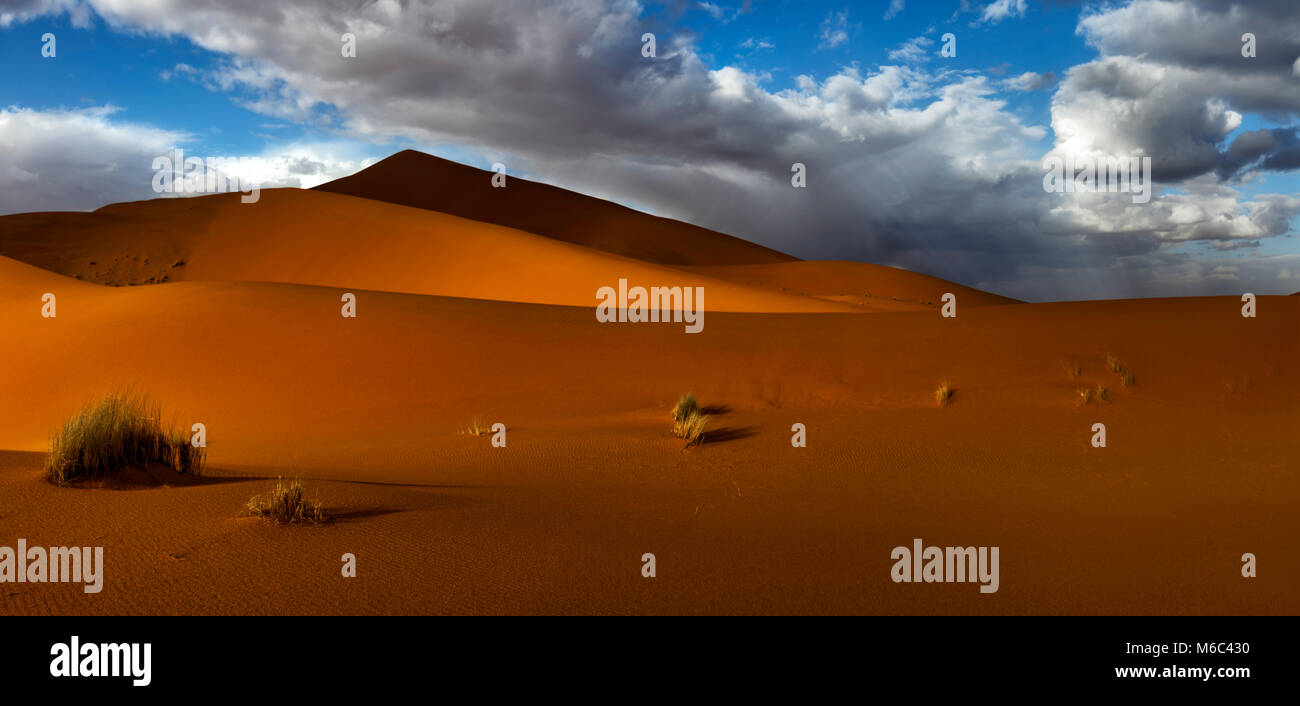 The red sand dunes of Merzouga. Morocco. Stock Photo