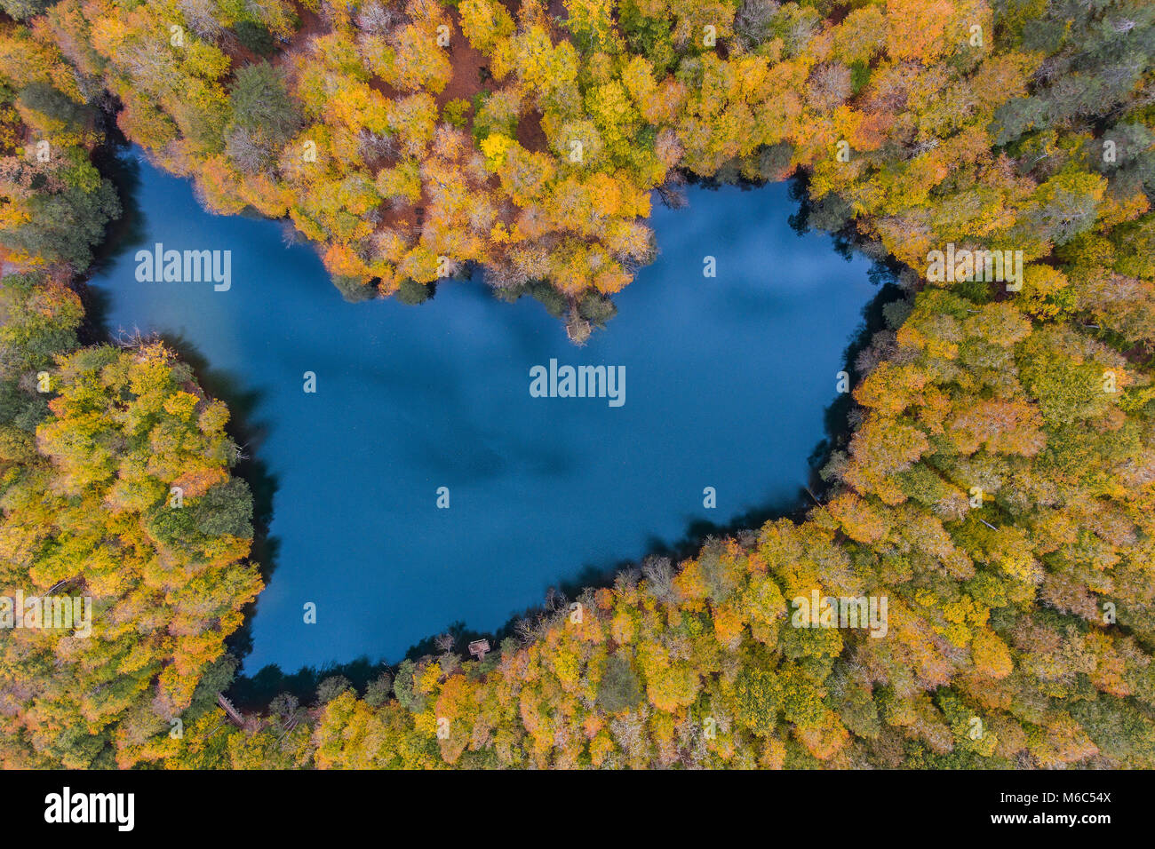 Beautiful Autum Landscape with Colorful Forest and Lake Stock Photo - Alamy