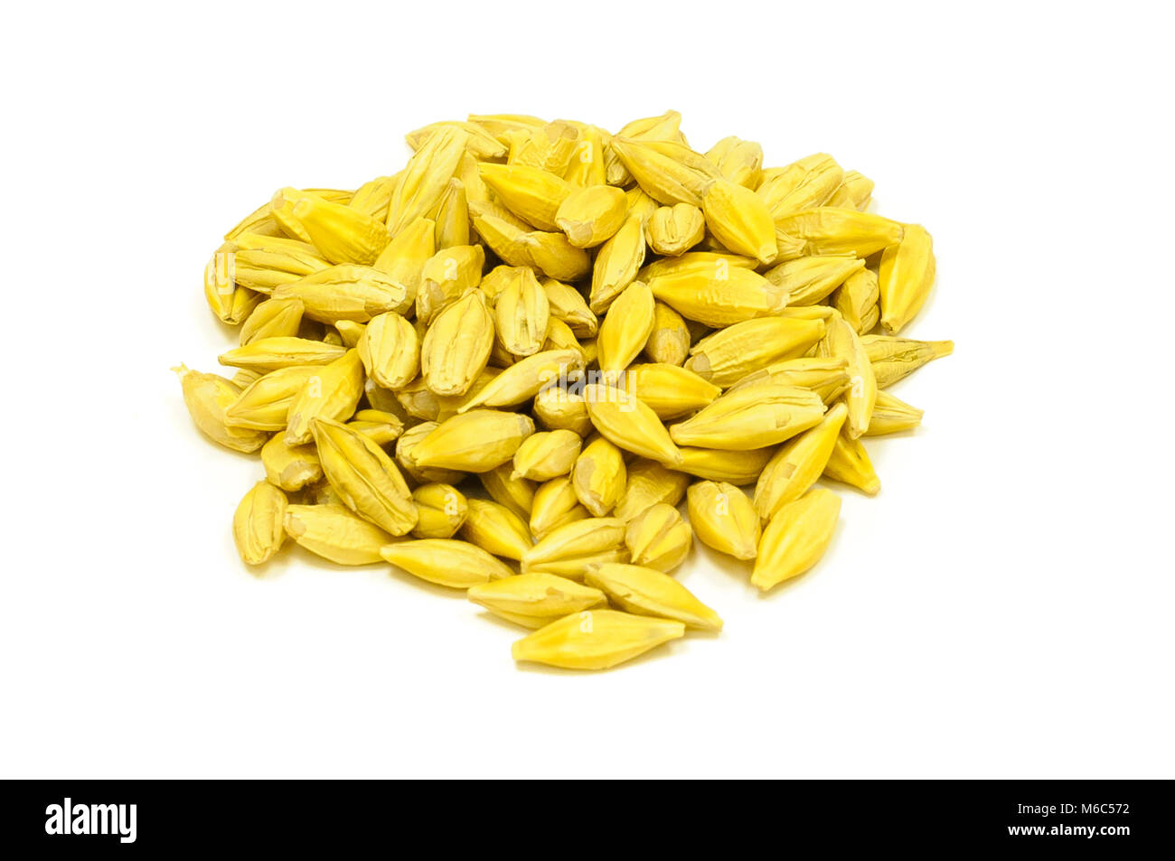Seed ripening Cut Out Stock Images & Pictures - Alamy
