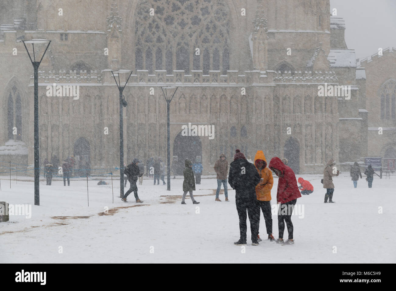 Exeter, Devon, UK. March 1st 2018. The Beast from the East meets Storm Emma in Exeter as a red weather warning is issued. People enjoy the snow outsid Stock Photo