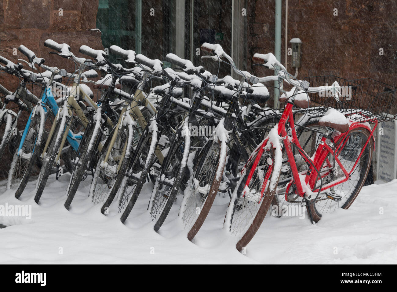 Exeter, Devon, UK. March 1st 2018. The Beast from the East meets Storm Emma in Exeter as a red weather warning is issued. Bikes become covered in snow Stock Photo