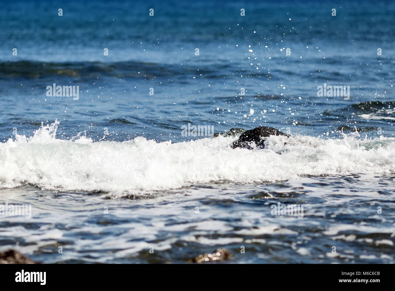 Wave with splash and white foam on the sea surface Stock Photo - Alamy