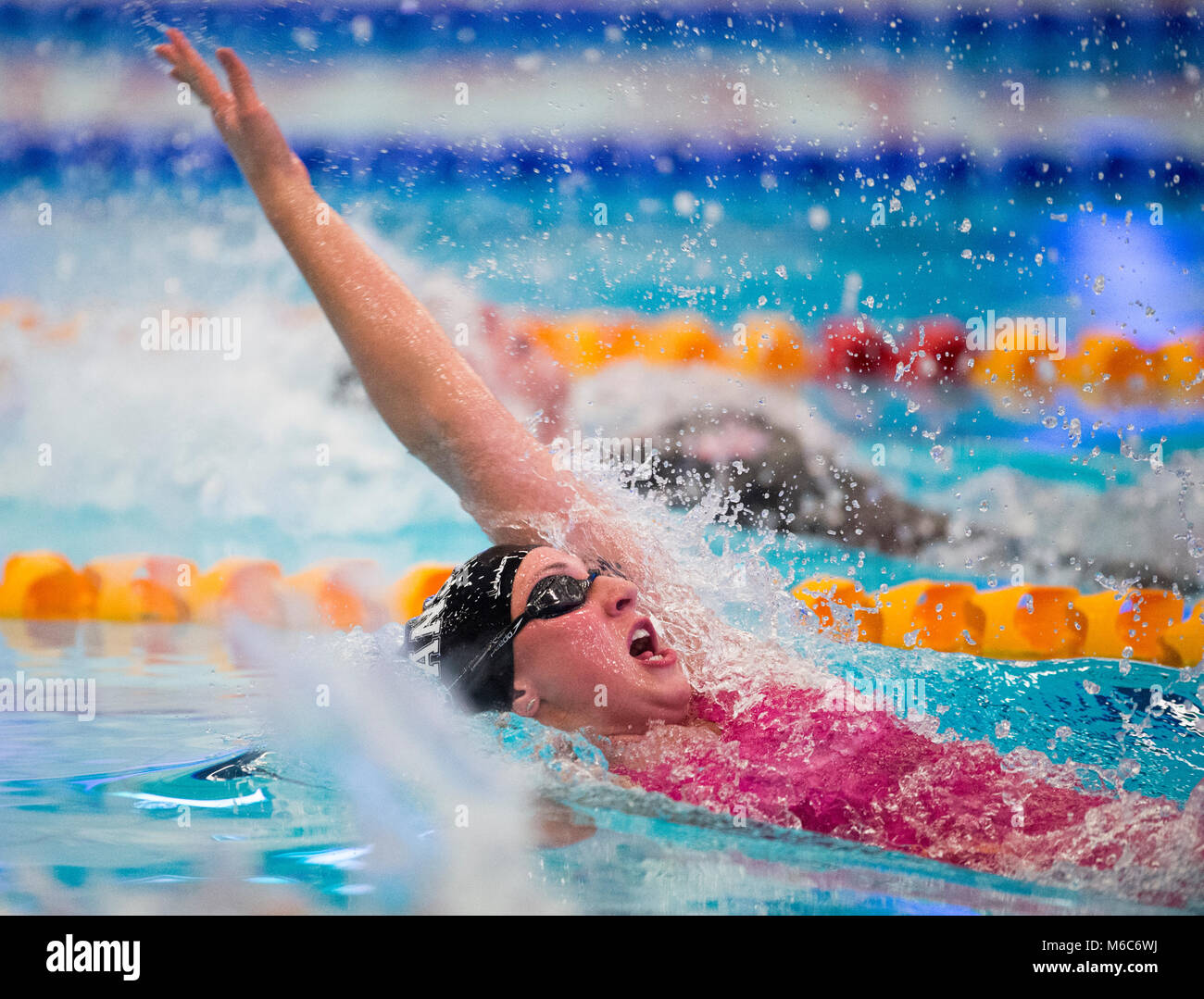 Cassie Wild swimming in a 50m backstroke skins event during day one of