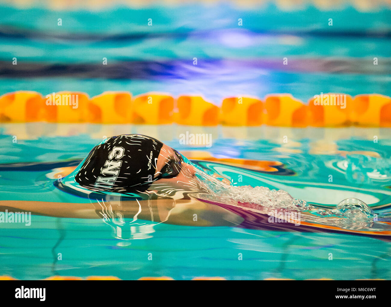 Cassie Wild swimming in a 50m backstroke skins event during day one of