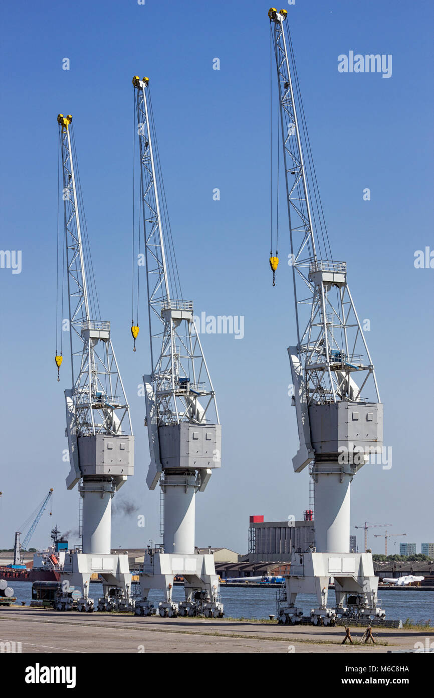 Row of harbor cargo cranes in the Port of Antwerp. Stock Photo