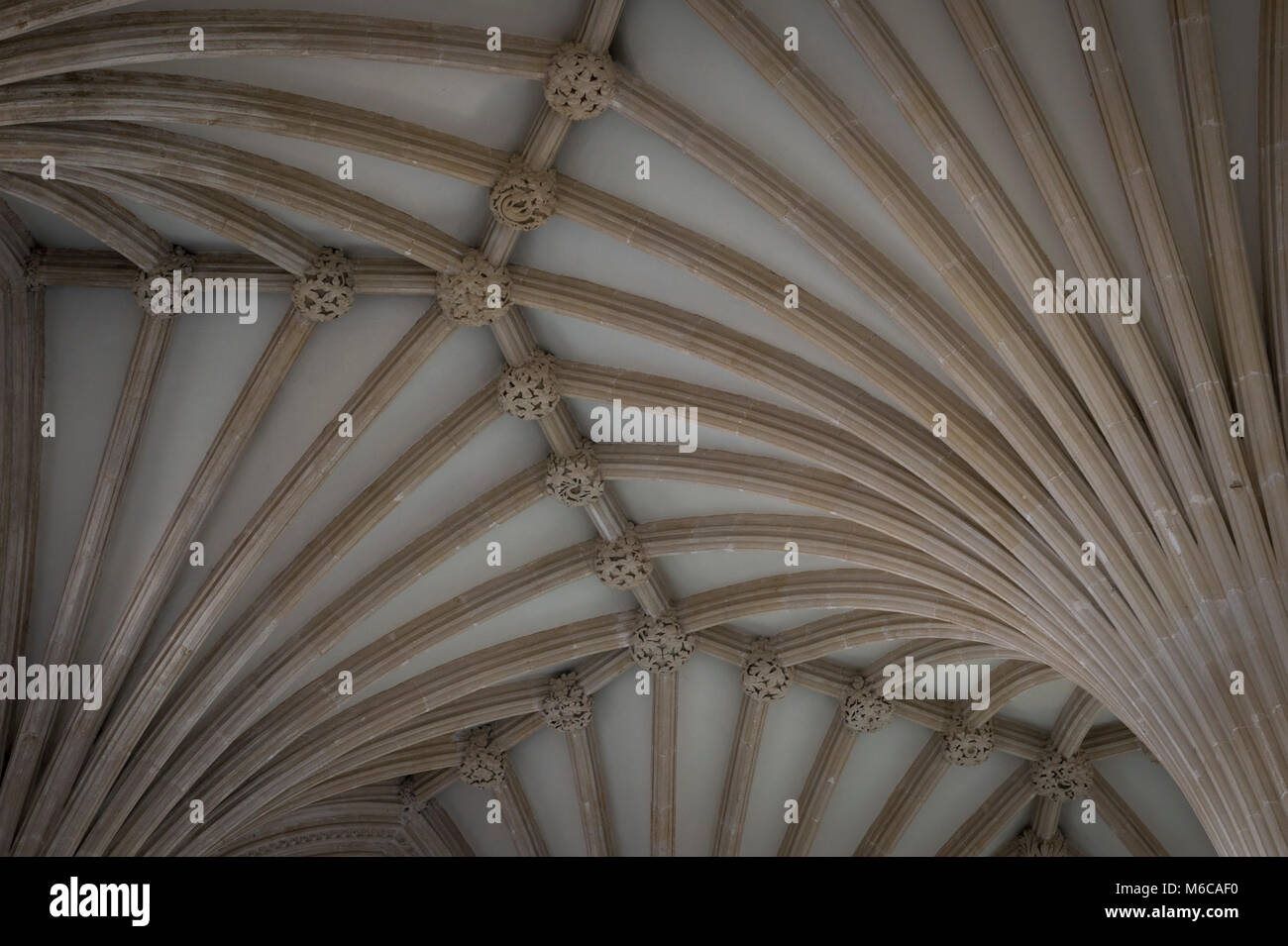 The vaulted ceiling of the Chapterhouse in Wells Cathedral, Wells, Somerset, UK. Stock Photo