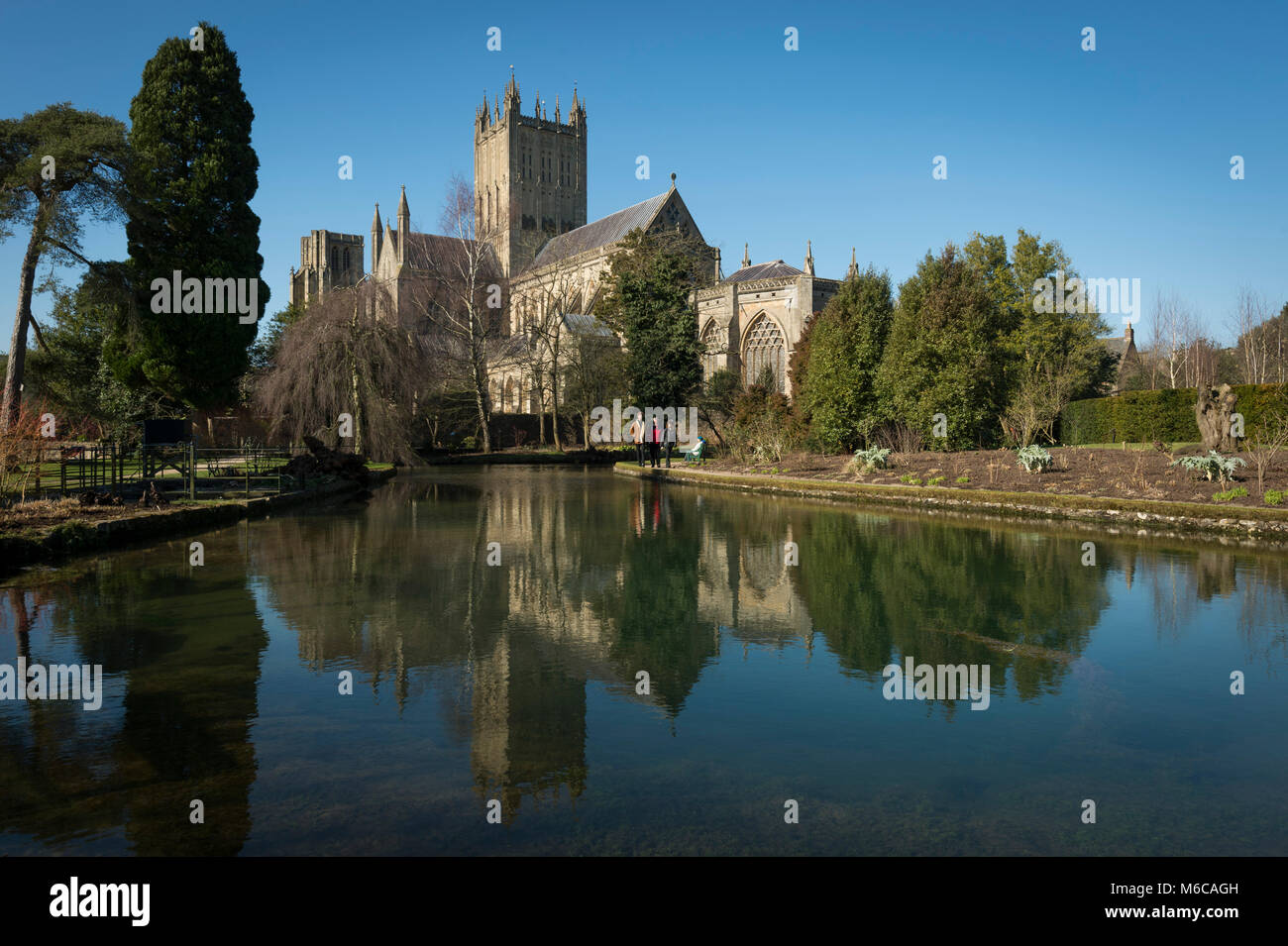 Wells Pool Wells Cathedral and Wells Pools in the Bishop's Palace garden, Wells ...