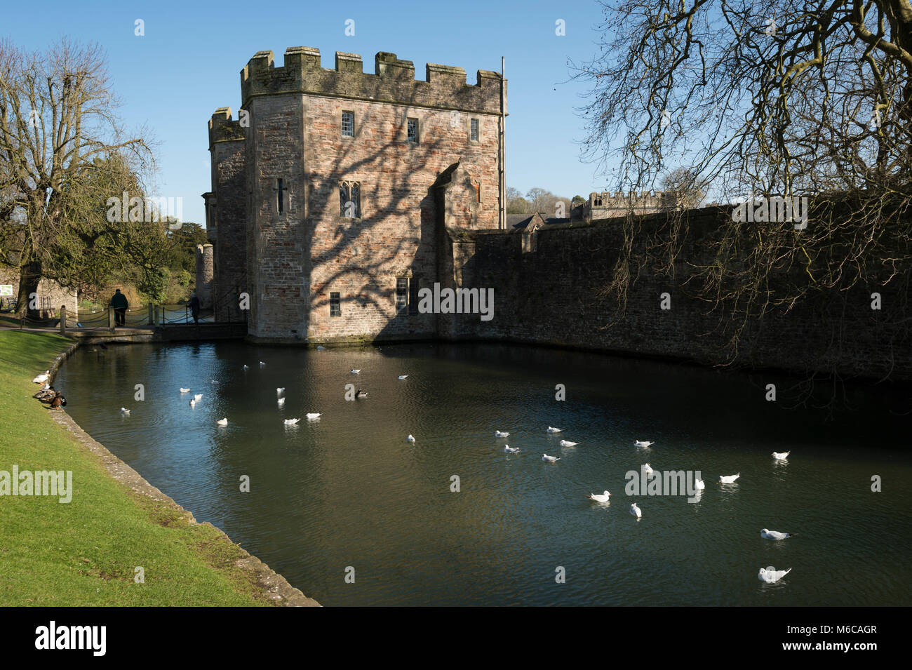 The Bishop's Palace, Wells and moat, Somerset, UK. Stock Photo