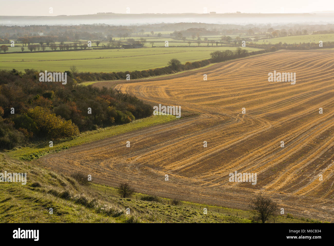 Milk hill in wiltshire hires stock photography and images Alamy