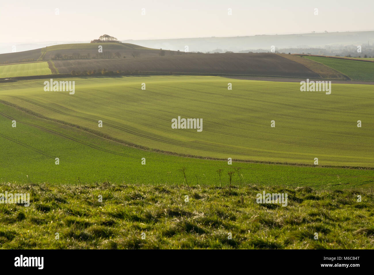 Milk hill wiltshire hires stock photography and images Alamy