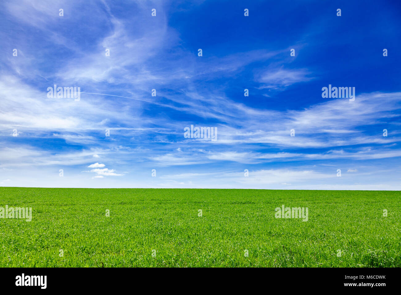 Idyllic english rural landscape with scenic green field under a blue summer sky in Southern England UK Stock Photo
