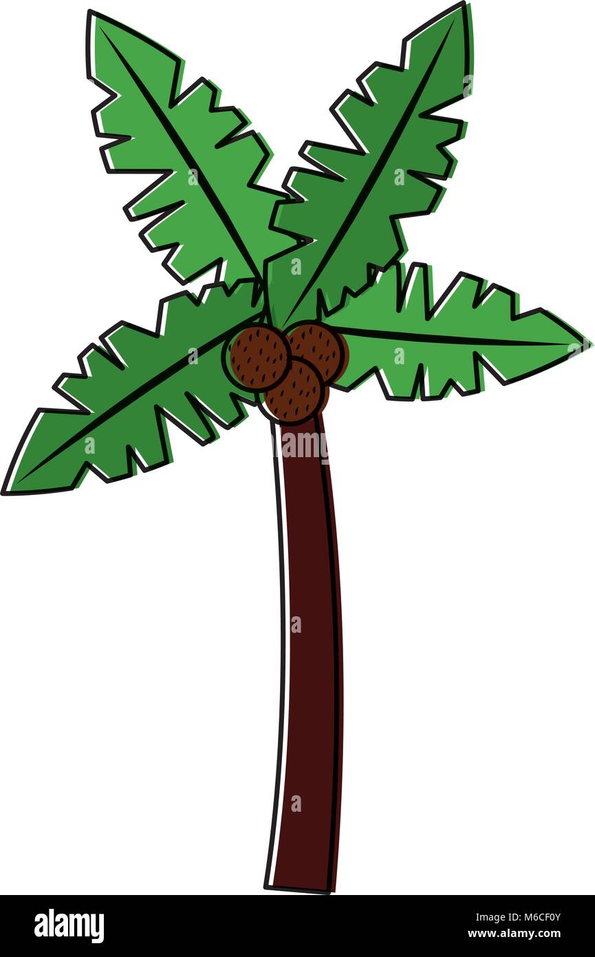 palm tree with coconuts icon image Stock Vector Image & Art - Alamy