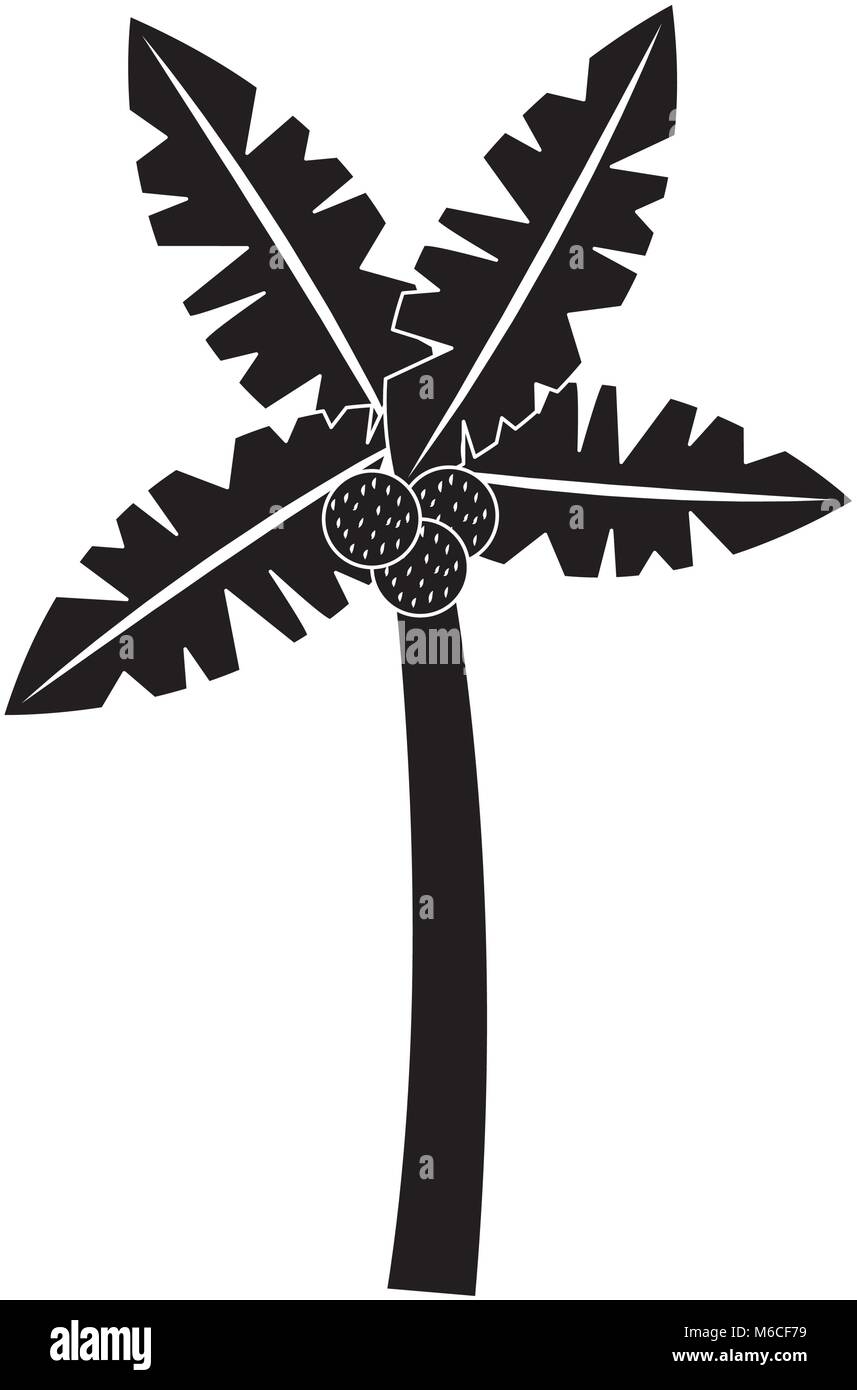palm tree with coconuts icon image Stock Vector Image & Art - Alamy