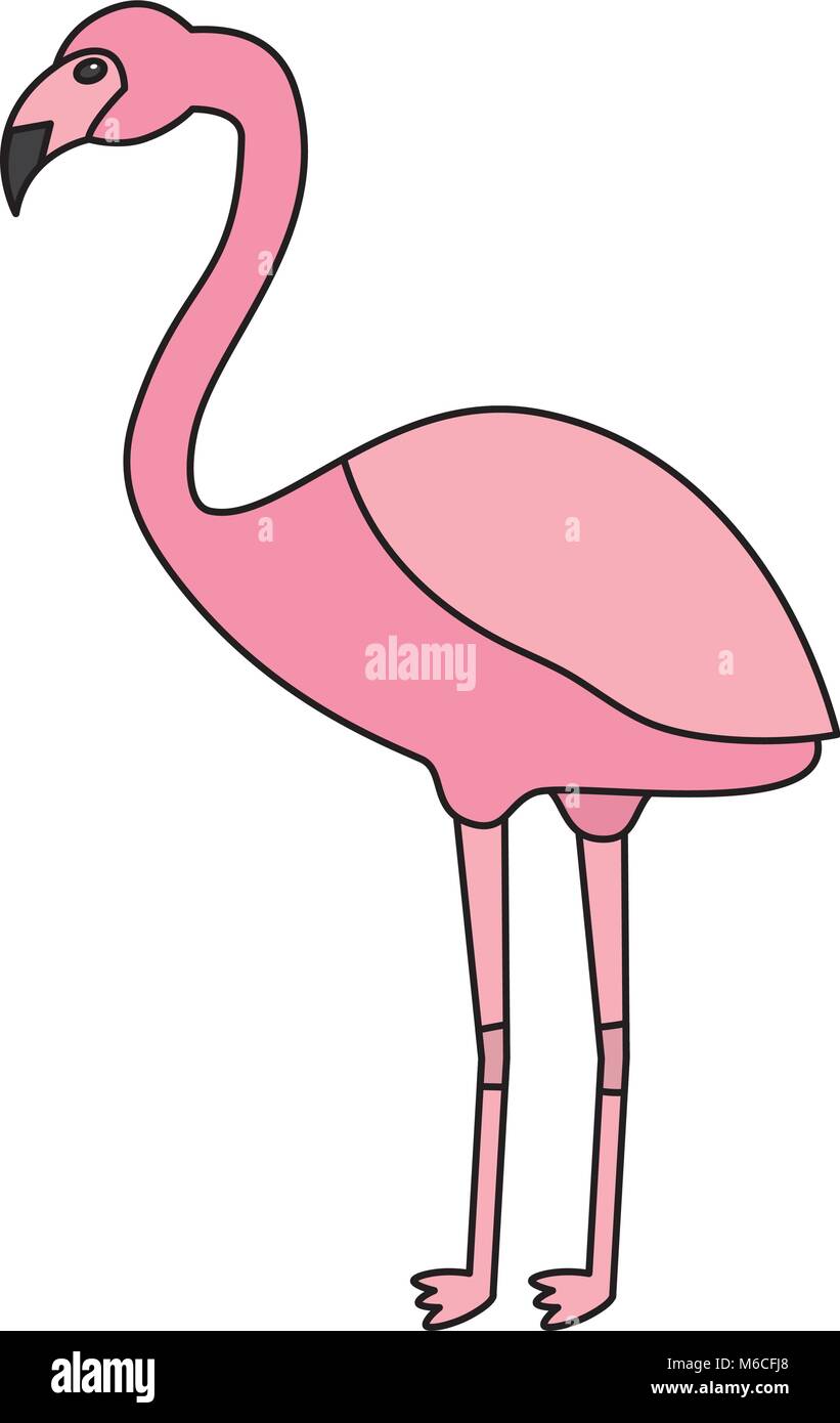Flamingo bird flock Stock Vector Images - Alamy