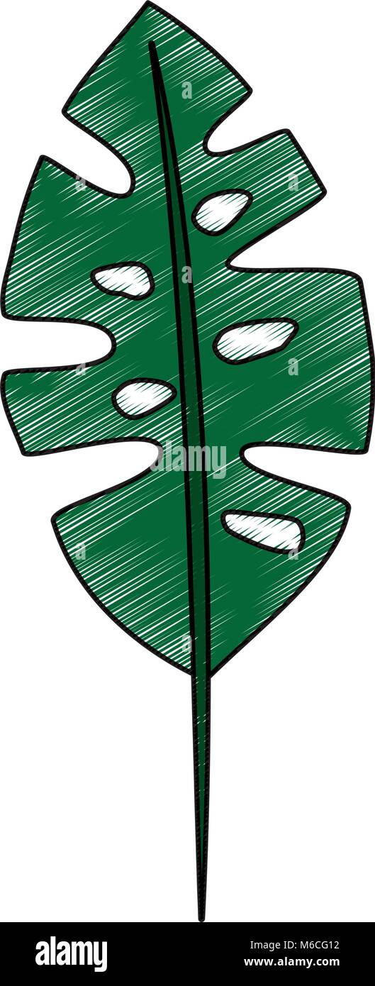 tropical leaf icon image Stock Vector Image & Art - Alamy