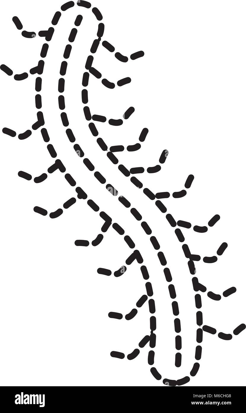 Information about worm virus - lindaworldof