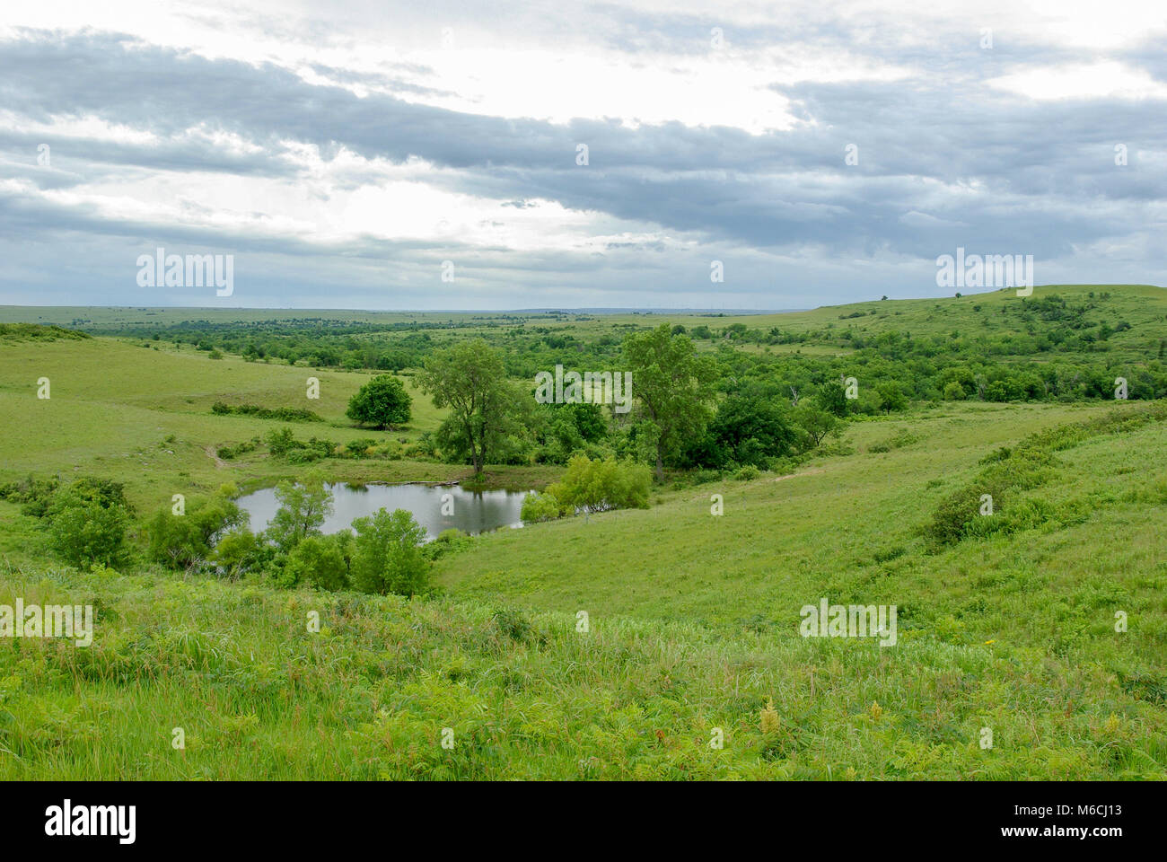 rolling meadow with pond and trees Stock Photo Alamy