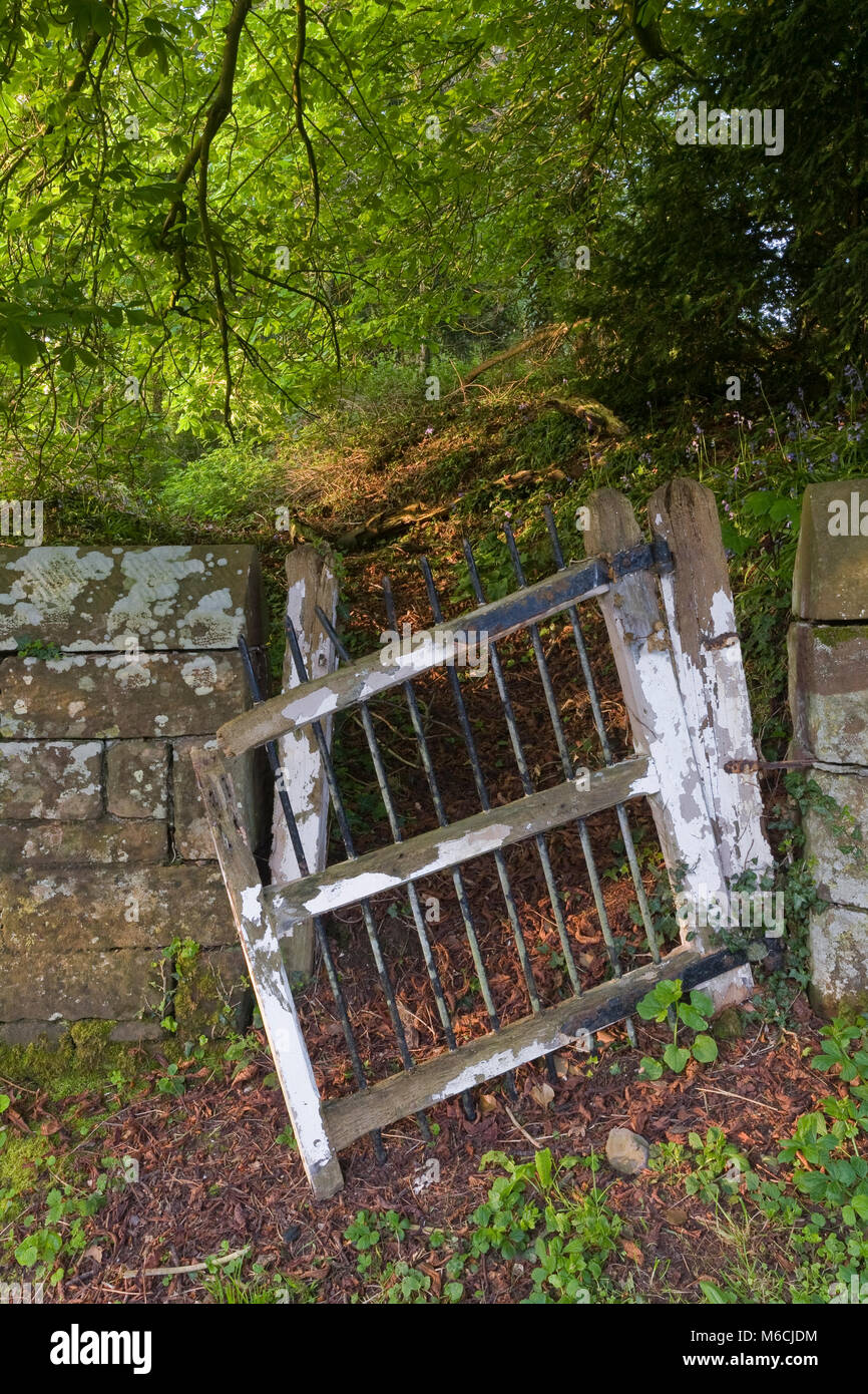 Broken old wooden gate set in a stone wall with trees Stock Photo Alamy