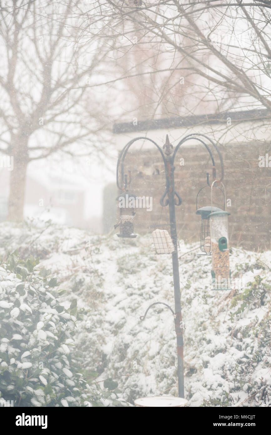 Stocked Bird Feeders In Winter Conditions With Frozen Snow And Ice