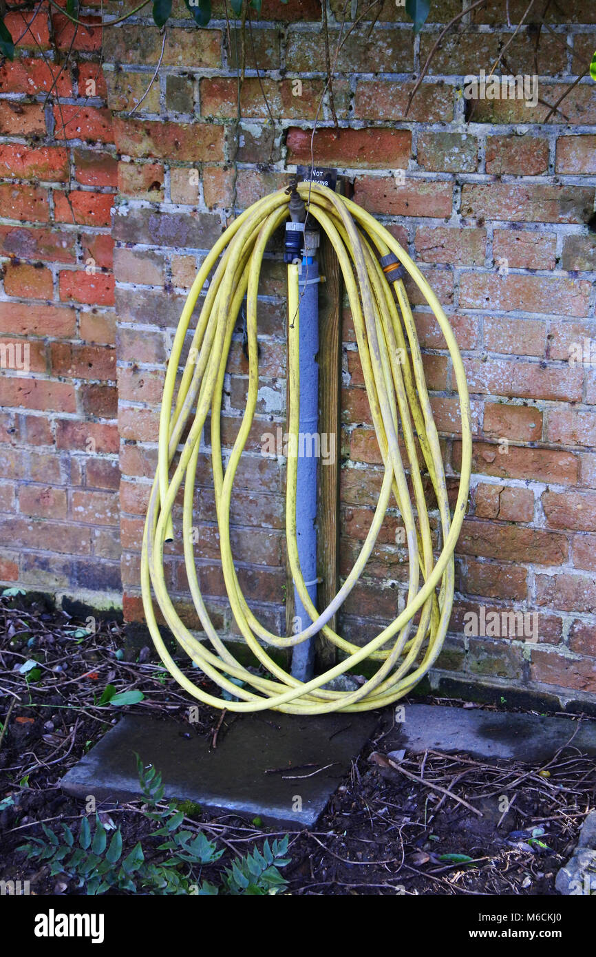 A yellow garden hosepipe - John Gollop Stock Photo