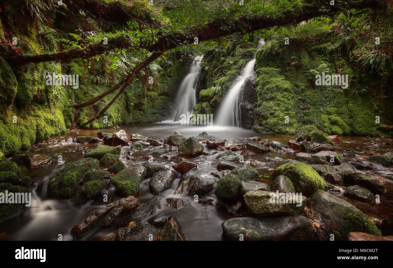 Venford Twin Waterfall Dartmoor National Park Woodland Stock Photo