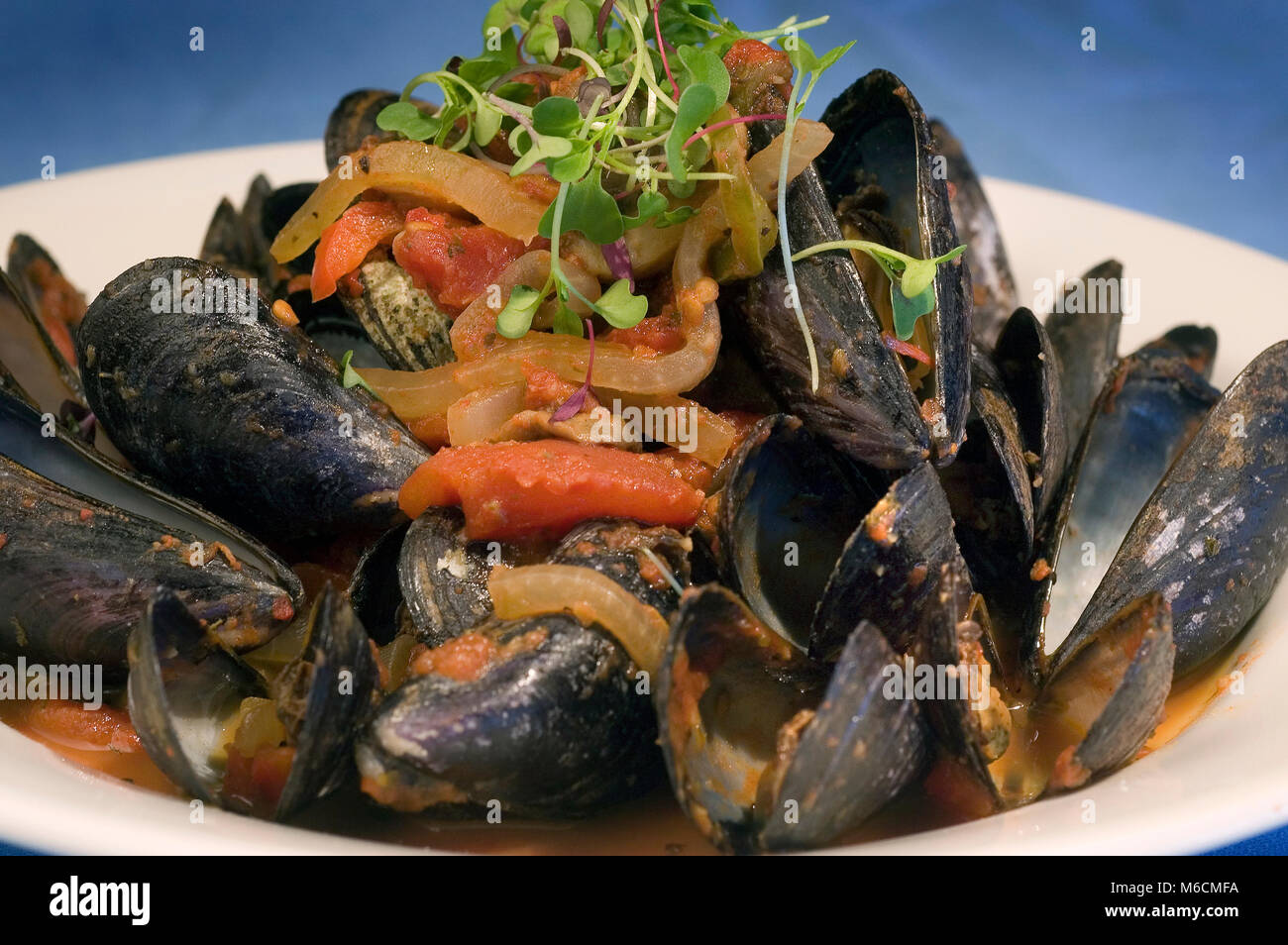Mussels Posillipo a meal at a local Cape Cod Restaurant. Stock Photo