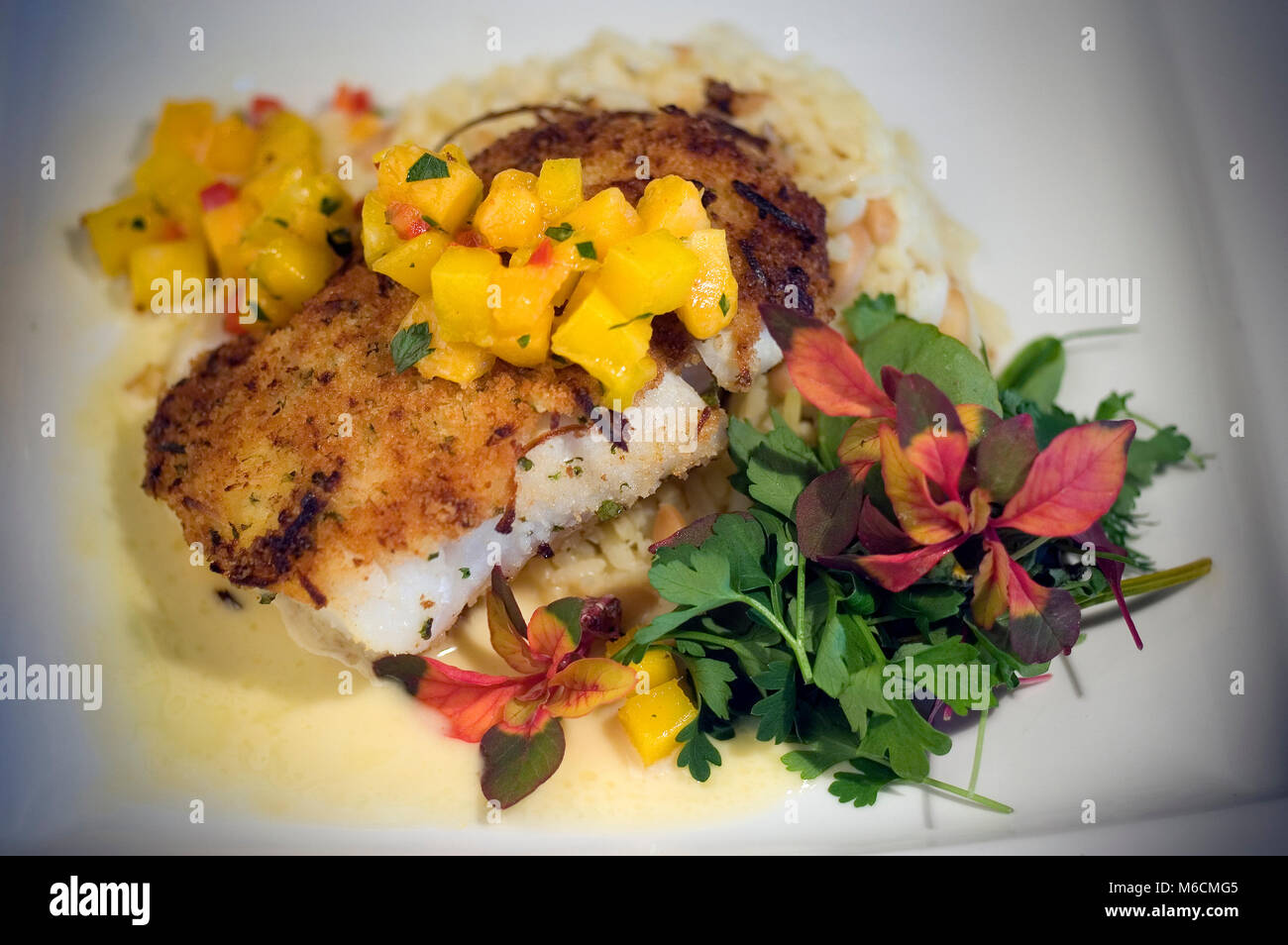 Striped bass hires stock photography and images Alamy