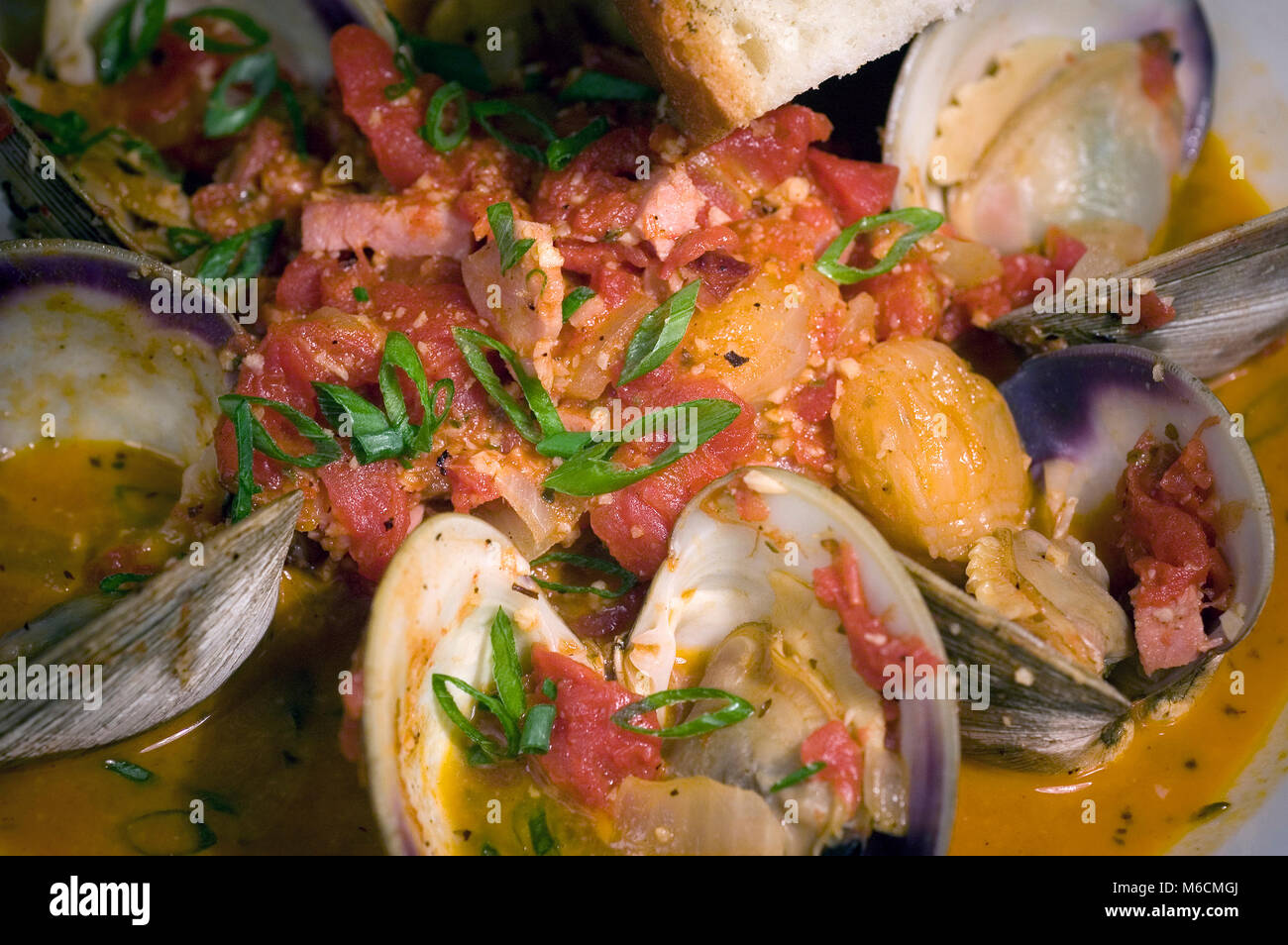 Steamed Little Necks - Served at a Cape Cod restaurant Stock Photo