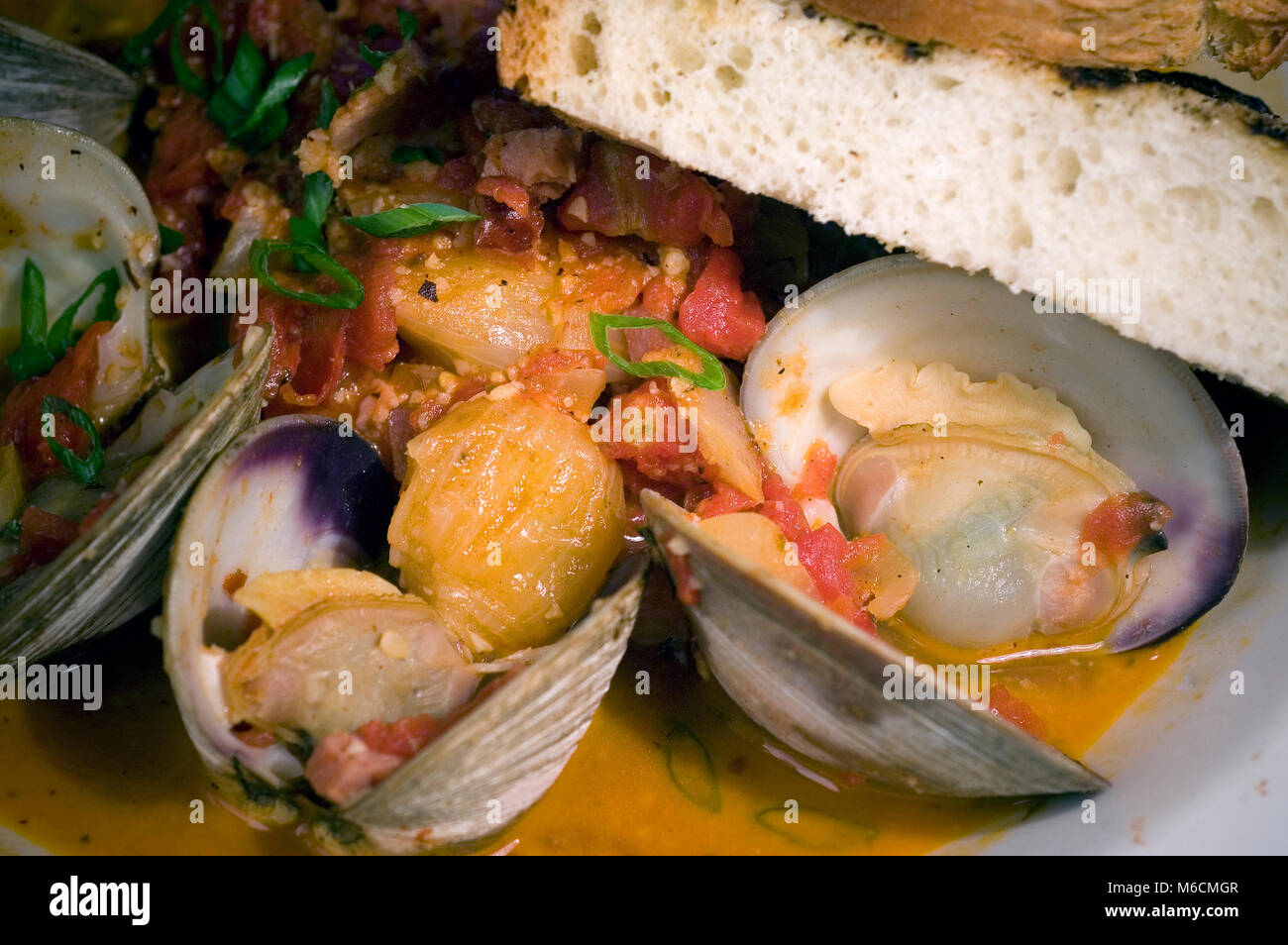 Steamed Little Necks - Served at a Cape Cod restaurant Stock Photo