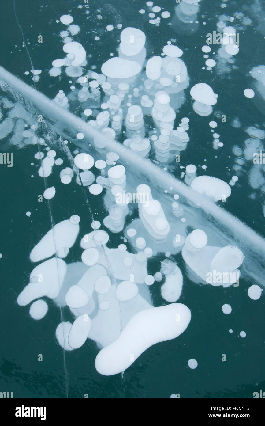 Frozen methane bubbles, Winter, Abraham Lake, Canadian Rockies, Alberta, Stock Photo