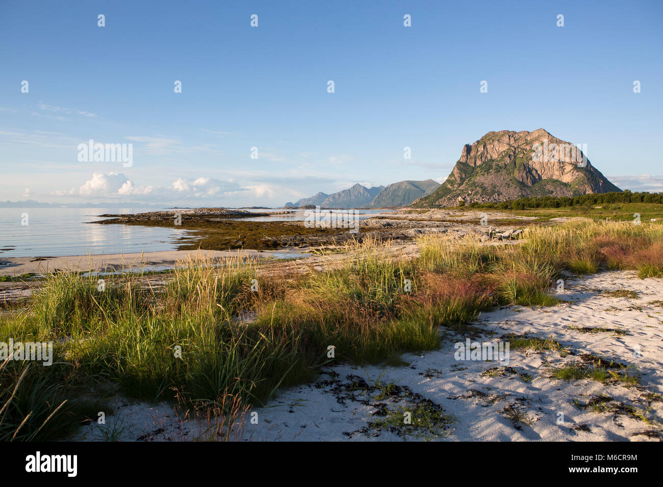 Late night at the coast of Engeloya - Angel Island – in northern Norway. Tide is low. In background the wall of Lofoten Islands is seen. Stock Photo