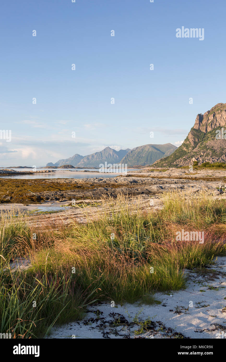 Late night at the coast of Engeloya - Angel Island – in northern Norway. Tide is low. In background the wall of Lofoten Islands is seen. Stock Photo