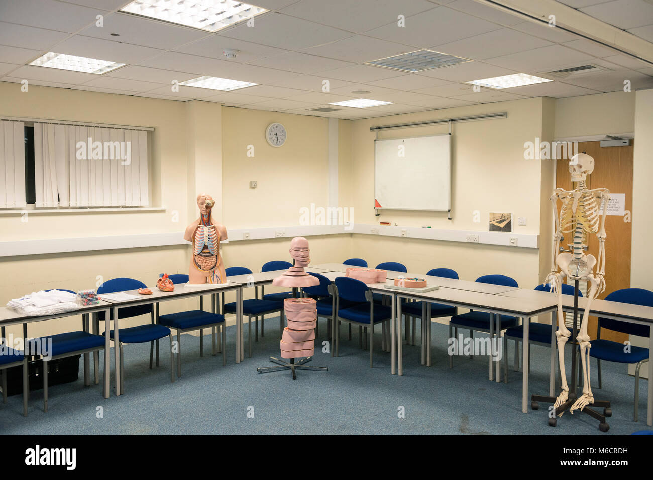 medical training aids in a classroom teaching medicine and human