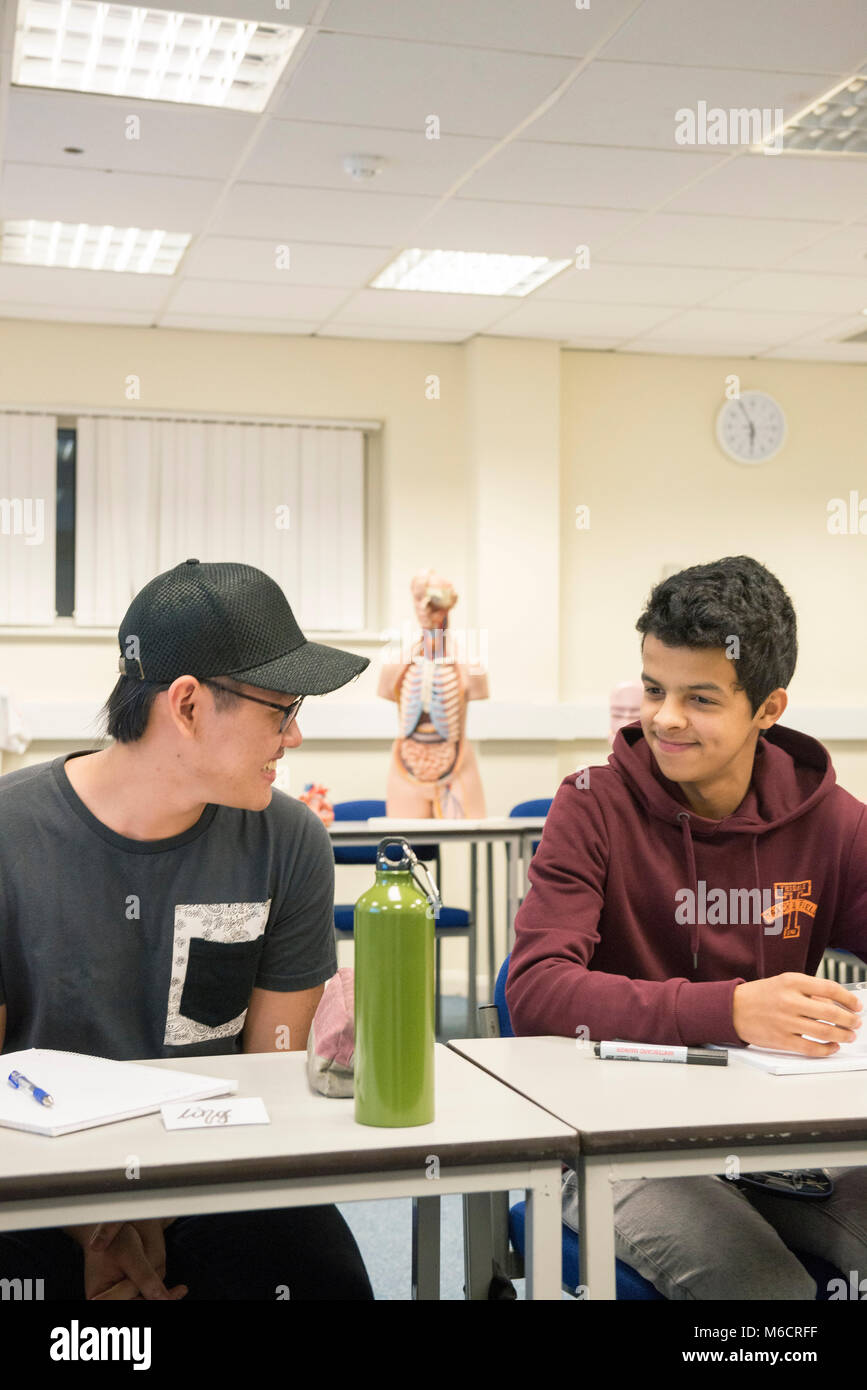 international students learn in a classroom all about the human anatomy ... Biology Diagrams