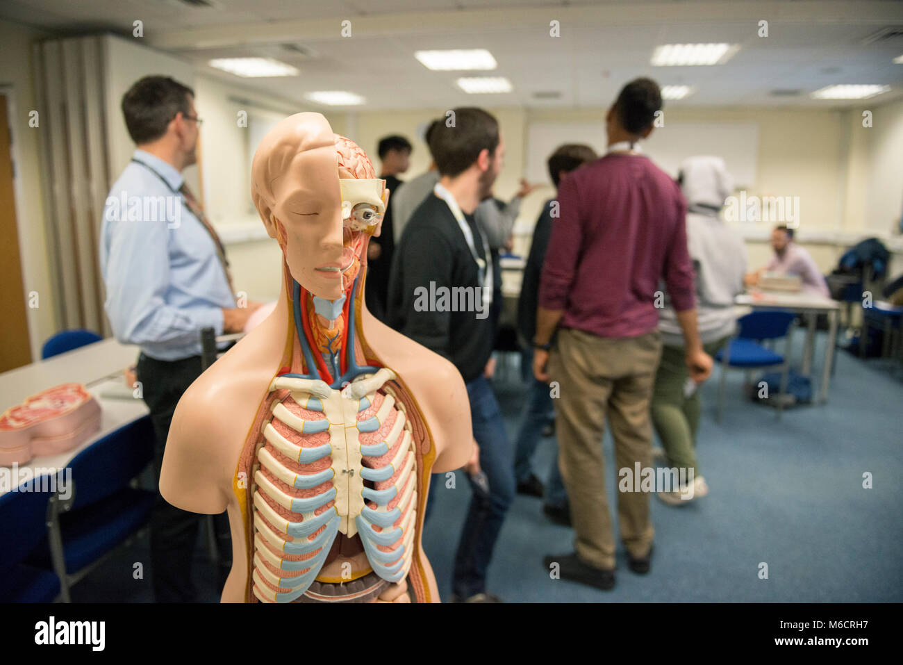 international students learn in a classroom all about the human anatomy ... Biology Diagrams