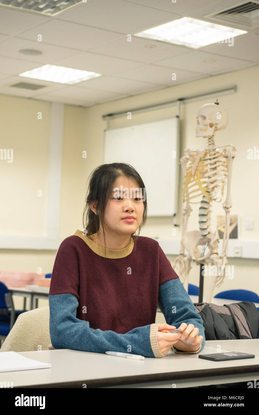 international students learn in a classroom all about the human anatomy ... Biology Diagrams