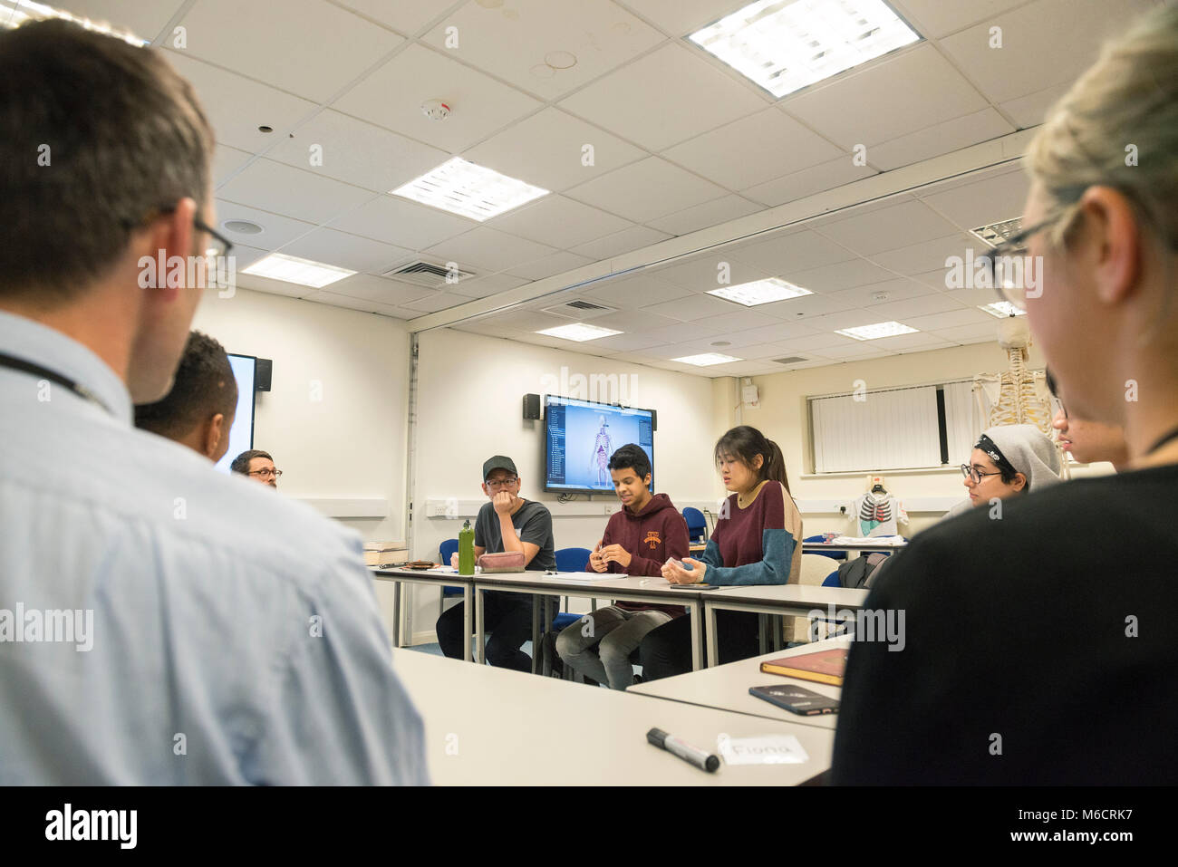 international students learn in a classroom all about the human anatomy Biology Diagrams